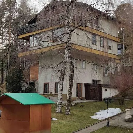 Grosse 2 Mit Terrasse Apartment Bad Ragaz