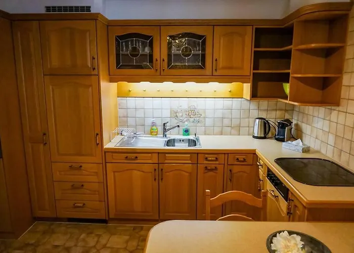 Grosse 2 Mit Terrasse Appartement