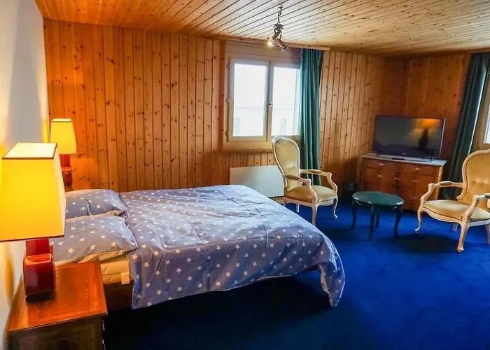 Grosse 2 Mit Terrasse Appartement